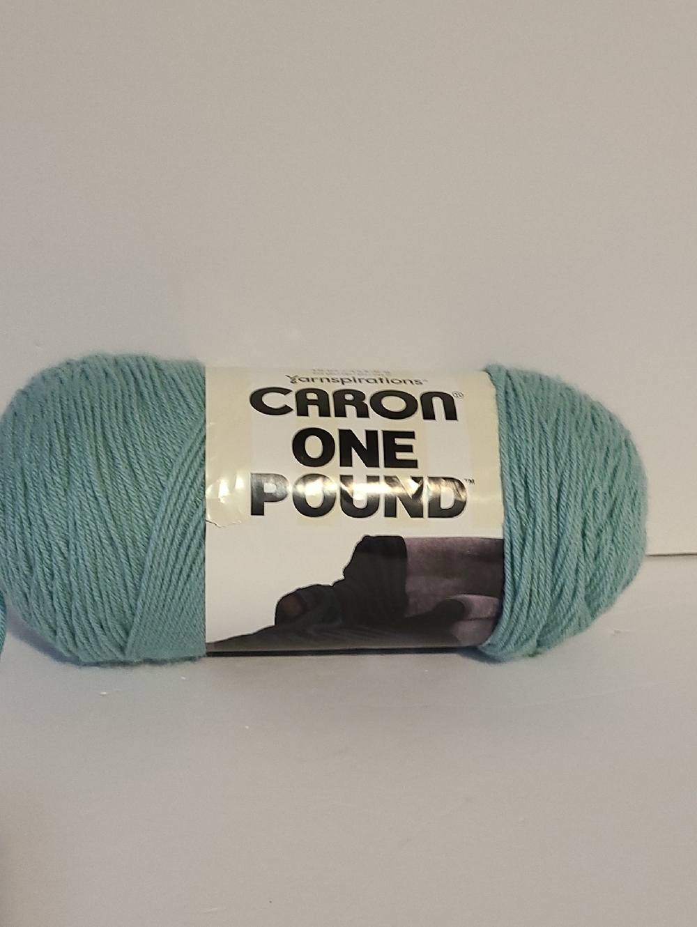 Caron One Pound Yarn – Soft Sage- Acrylic Skein
